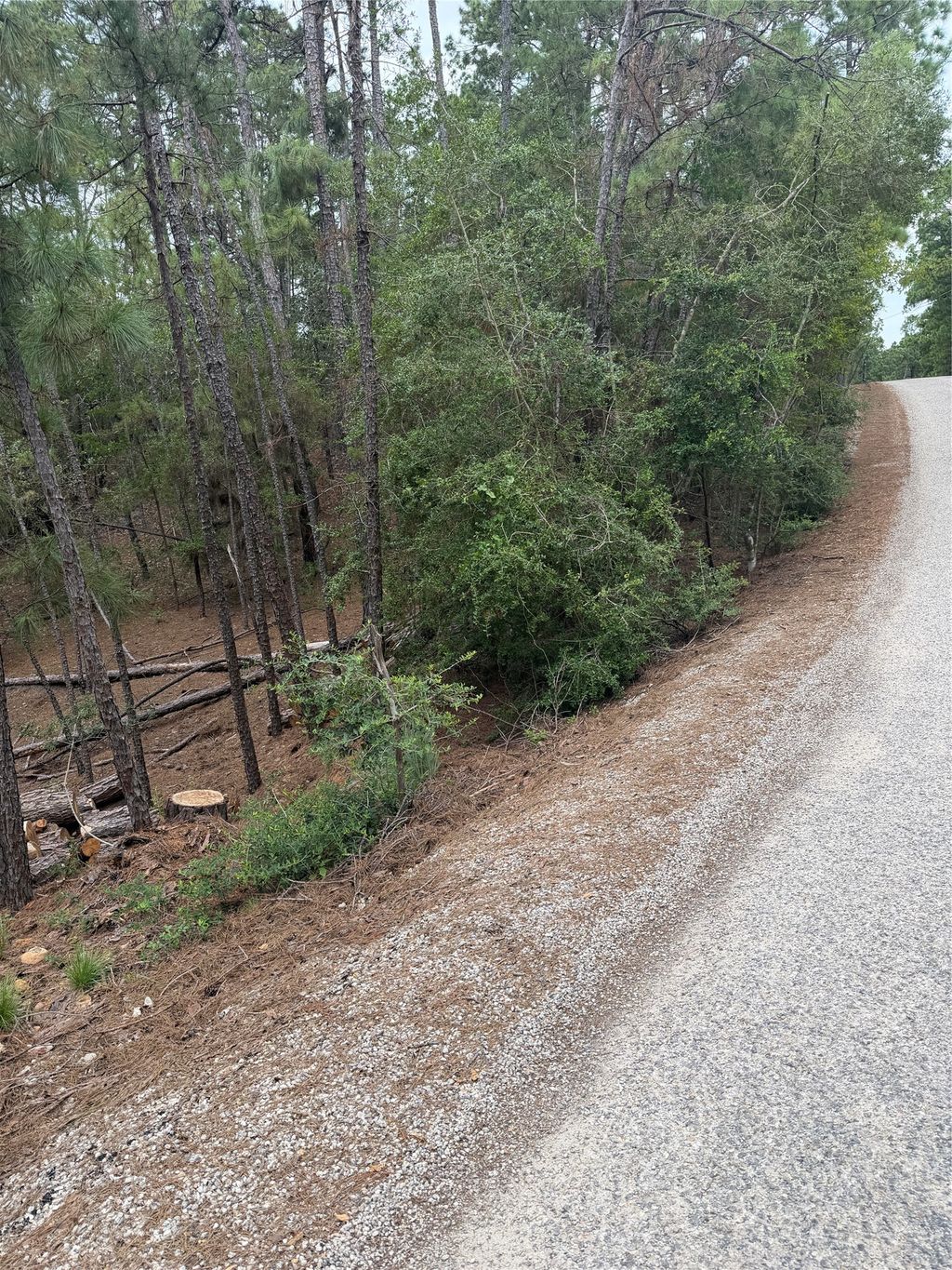 Lots 213 And 214 Hekili Drive, Bastrop