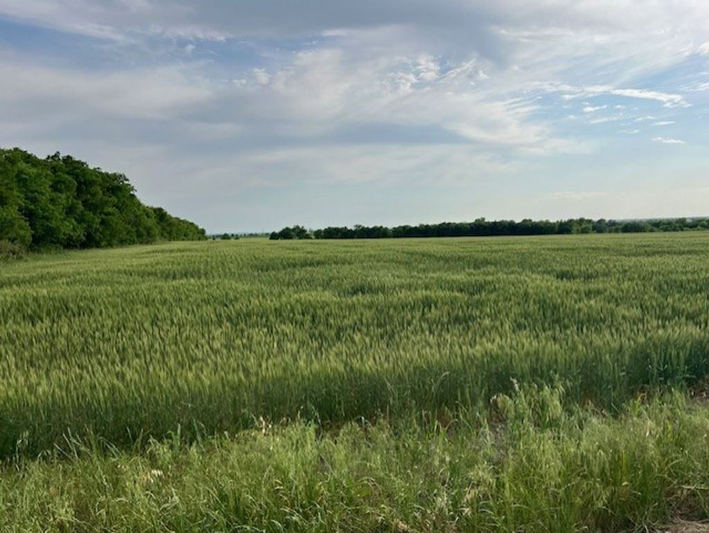 Tbd Tract 3c Airville Road, Temple