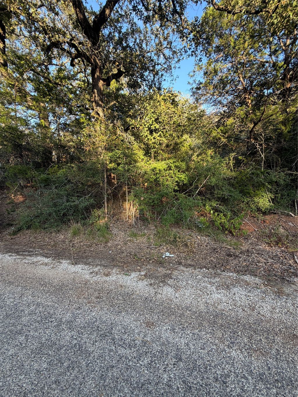 Lot 194 Kaelepulu Drive, Bastrop