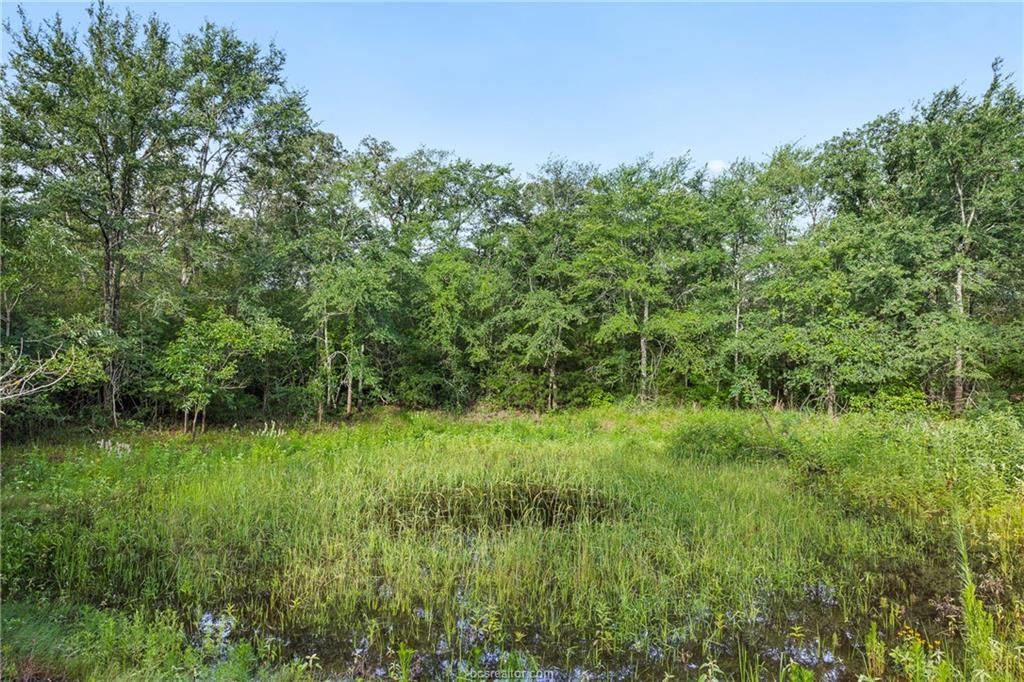 5163 County Road 358 Road, Gause