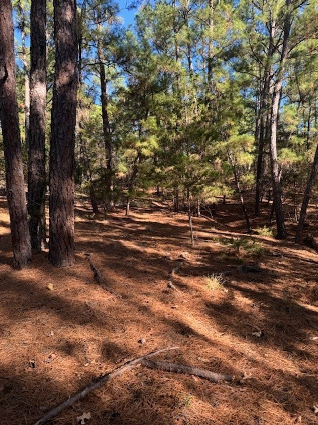 Lot 1395 Kaupa Court, Bastrop