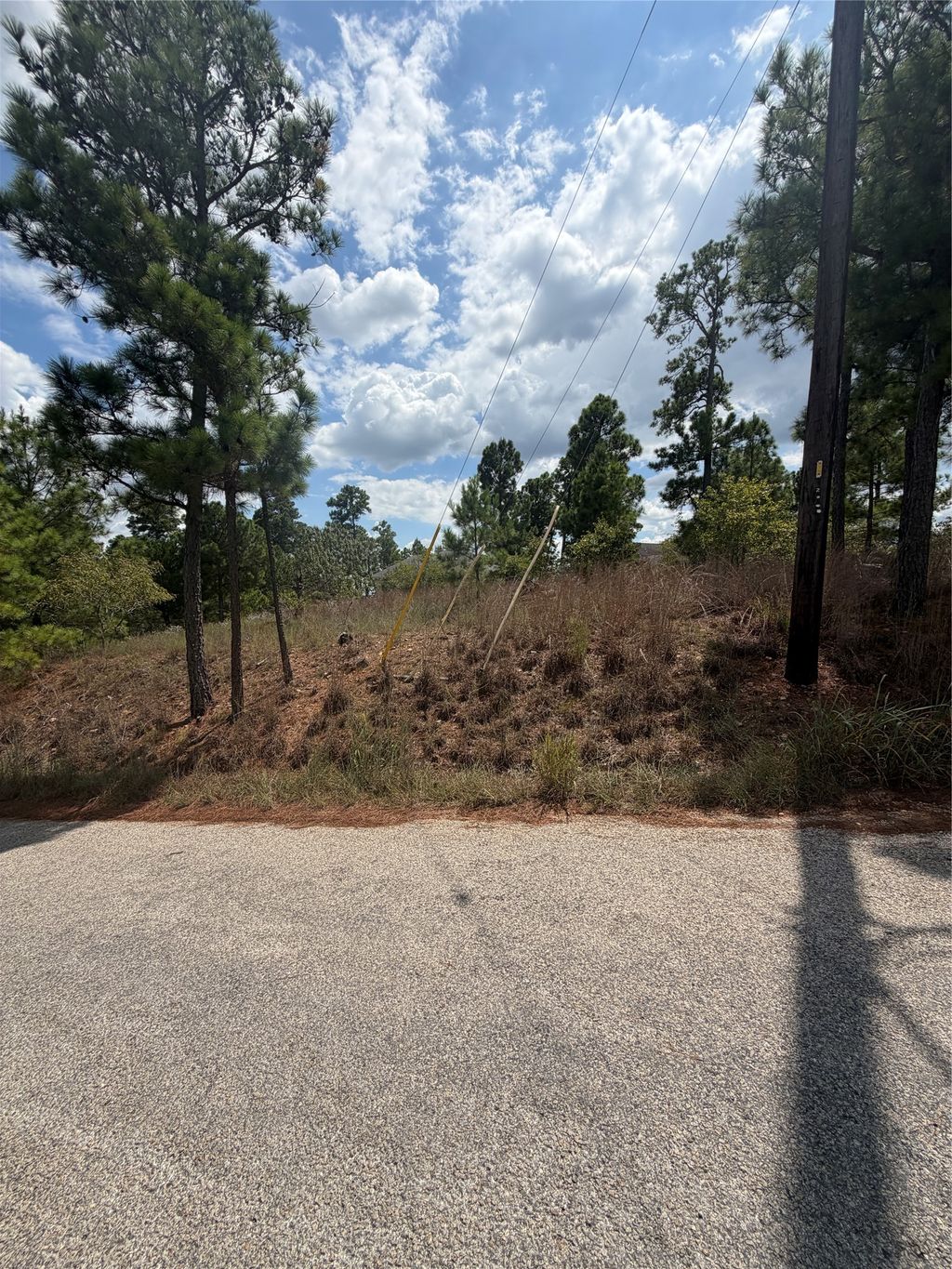 Lot 1189 Awehi Lane, Bastrop