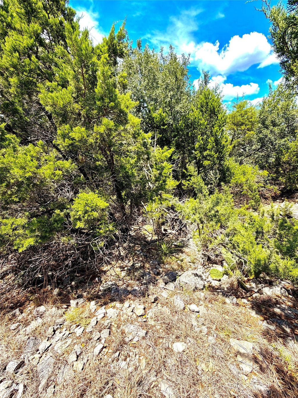 886 Mimosa Court, Fischer