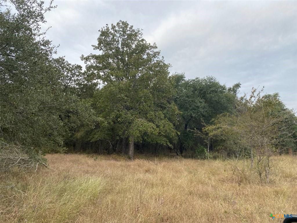 Tbd County Road 405, Buckholts