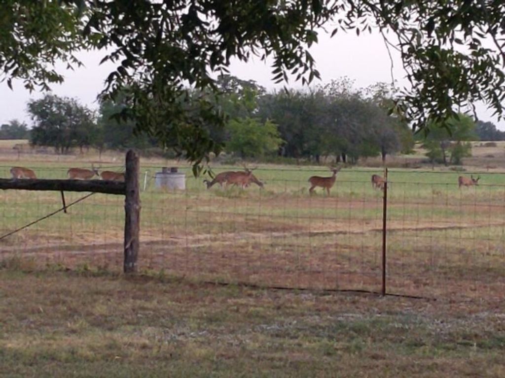 10905 Fm 1915 Fm1915 Highway, Buckholts