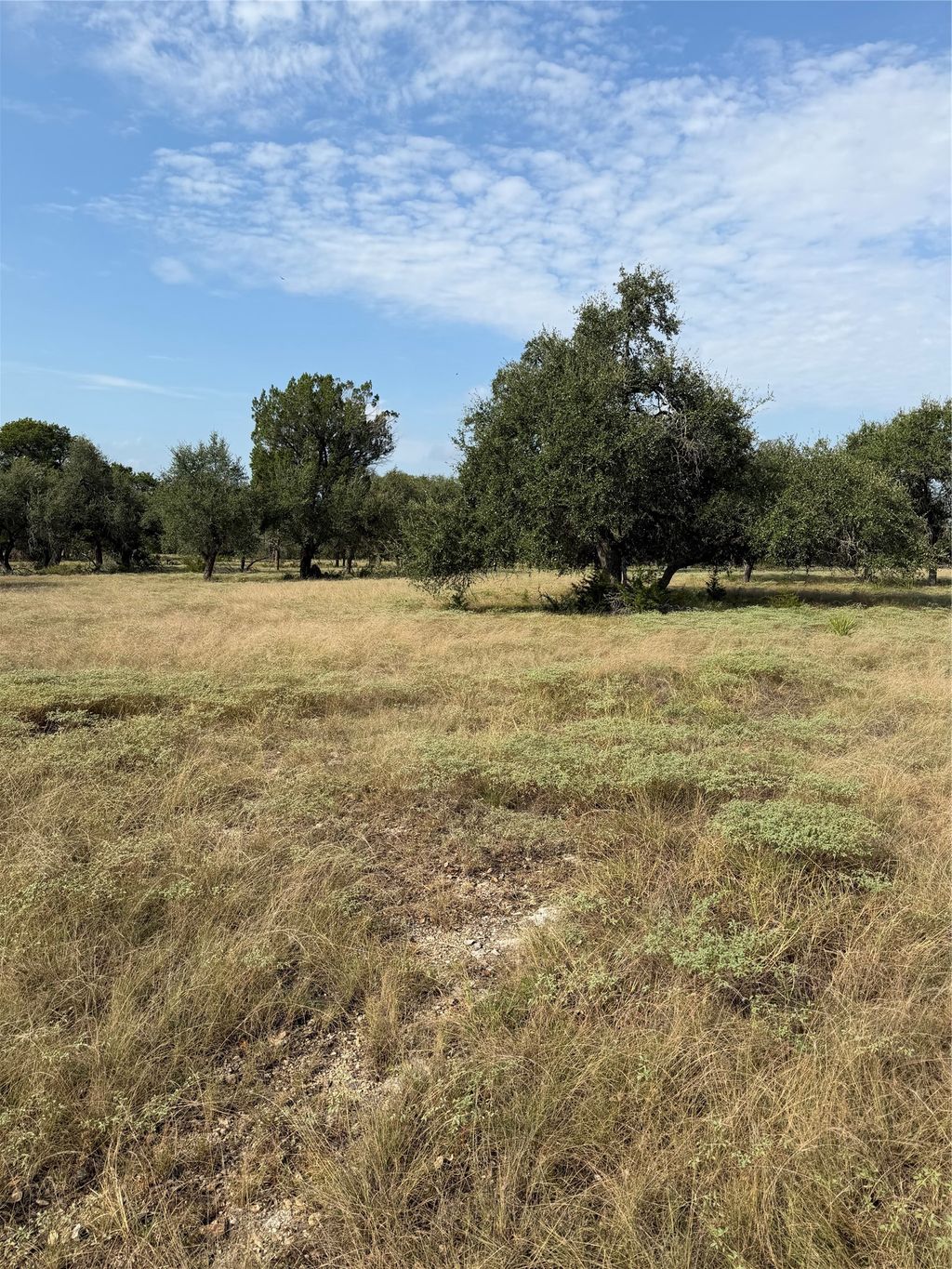 1911 Wayside Drive, Wimberley