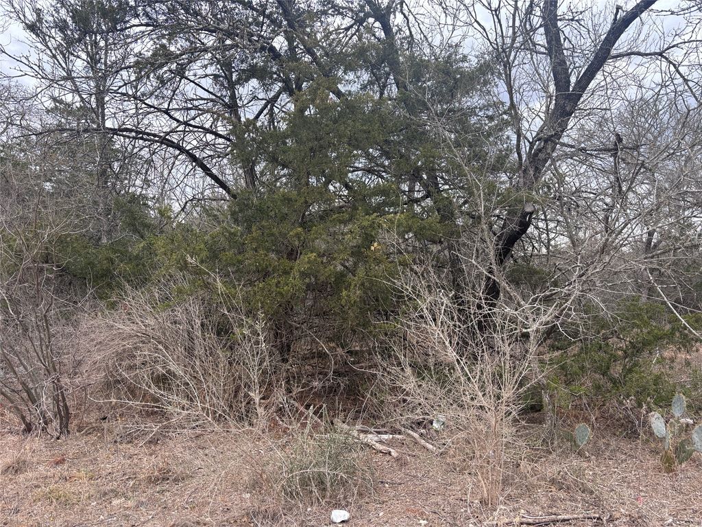 Tbd Pearson Road, Cedar Creek