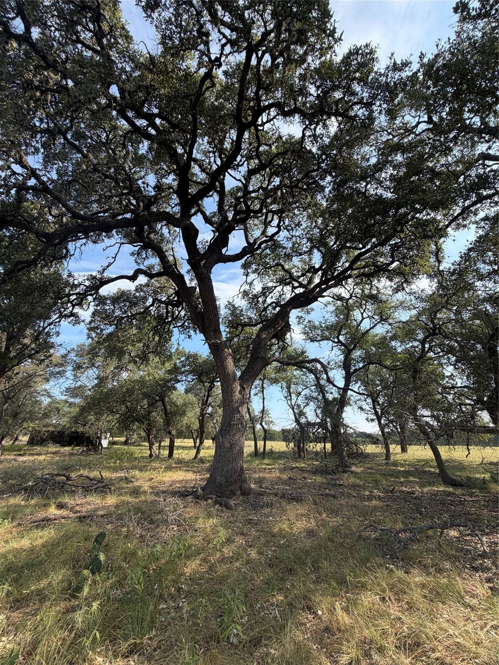 125 Quail Hollow, Wimberley