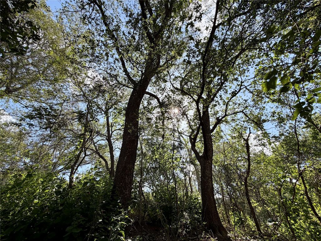 342 Riverside Drive, Bastrop