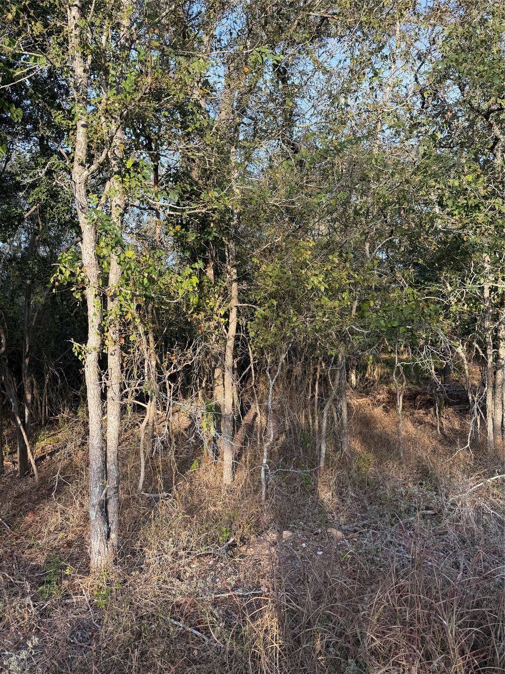 172 Helemano Drive, Bastrop