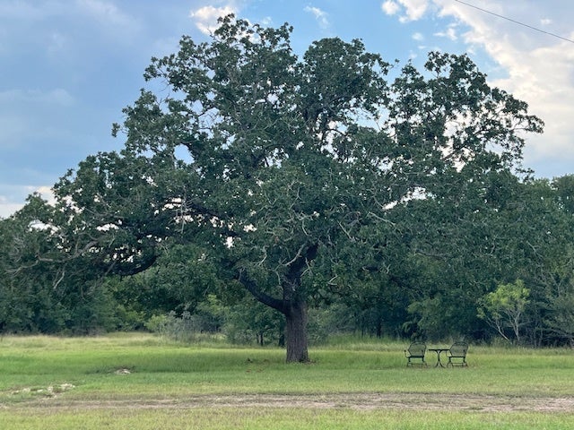 Photo of Listing #1235419