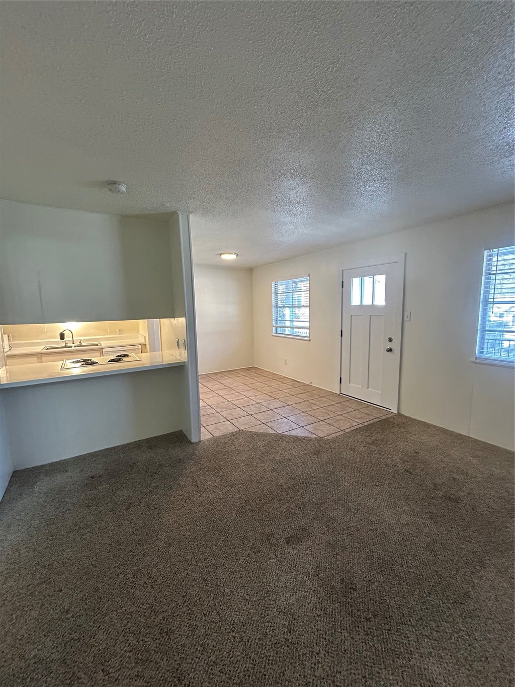 3703 Harmon Avenue 207, Austin