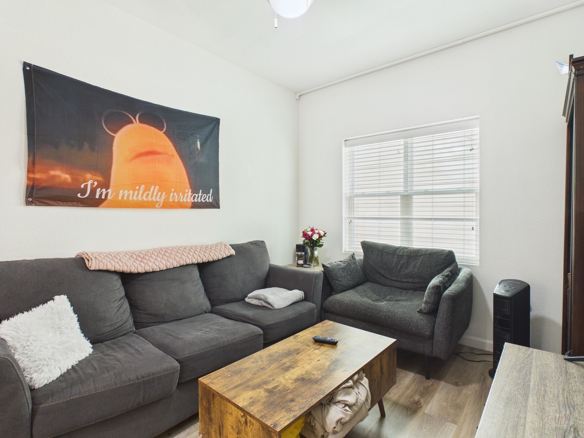 Photo of Listing #7211967