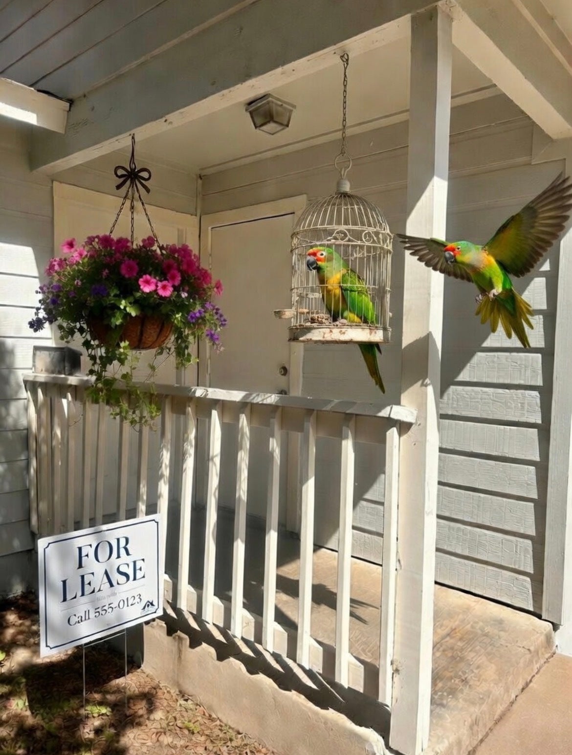 Photo of Listing #4904143