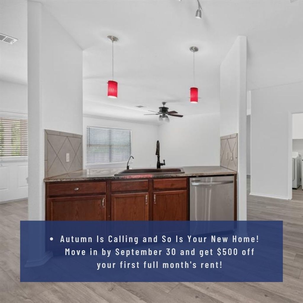 315 Waterlily Way, Hutto