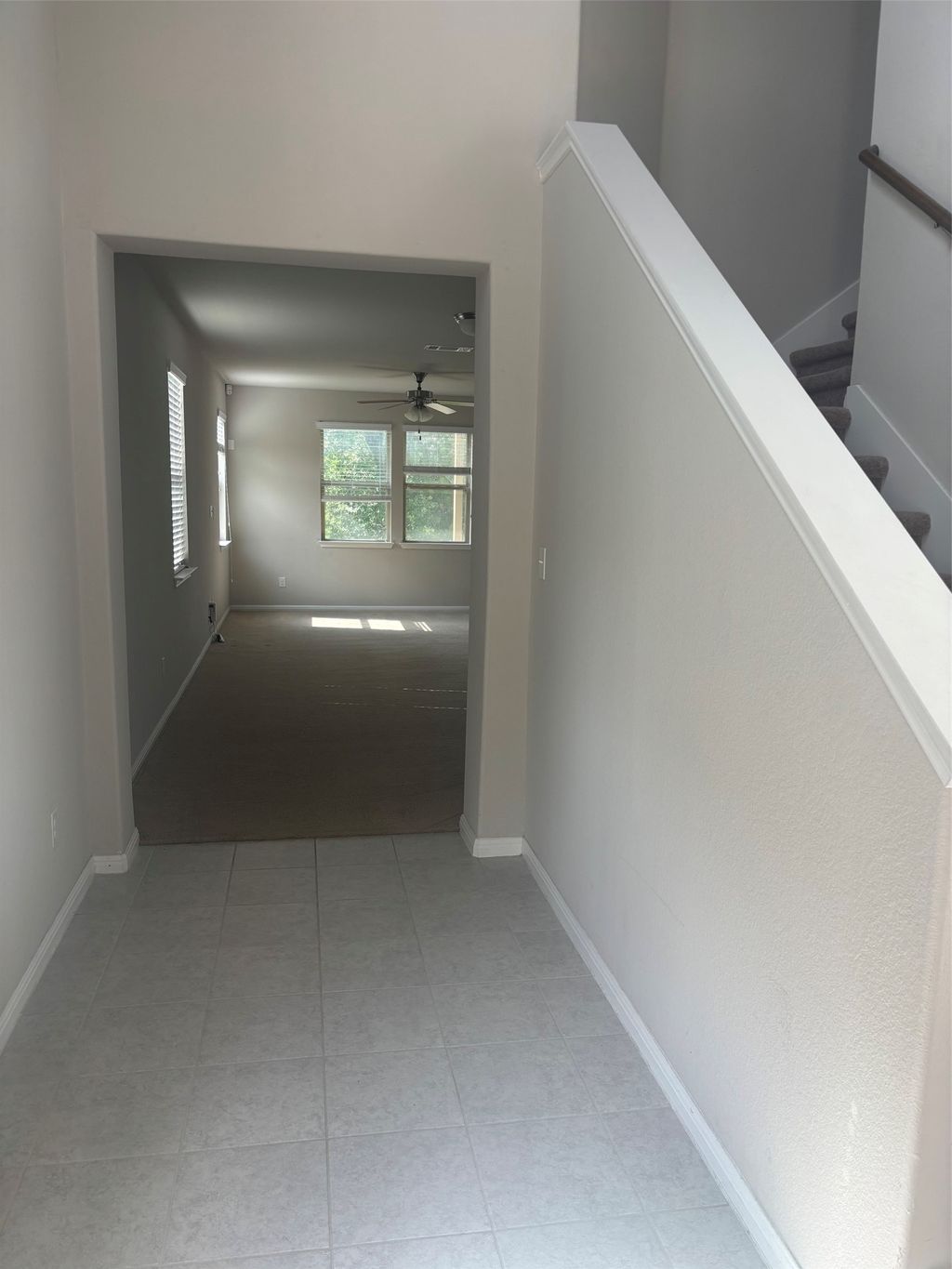 520 Cinnamon Teal Lane, Leander