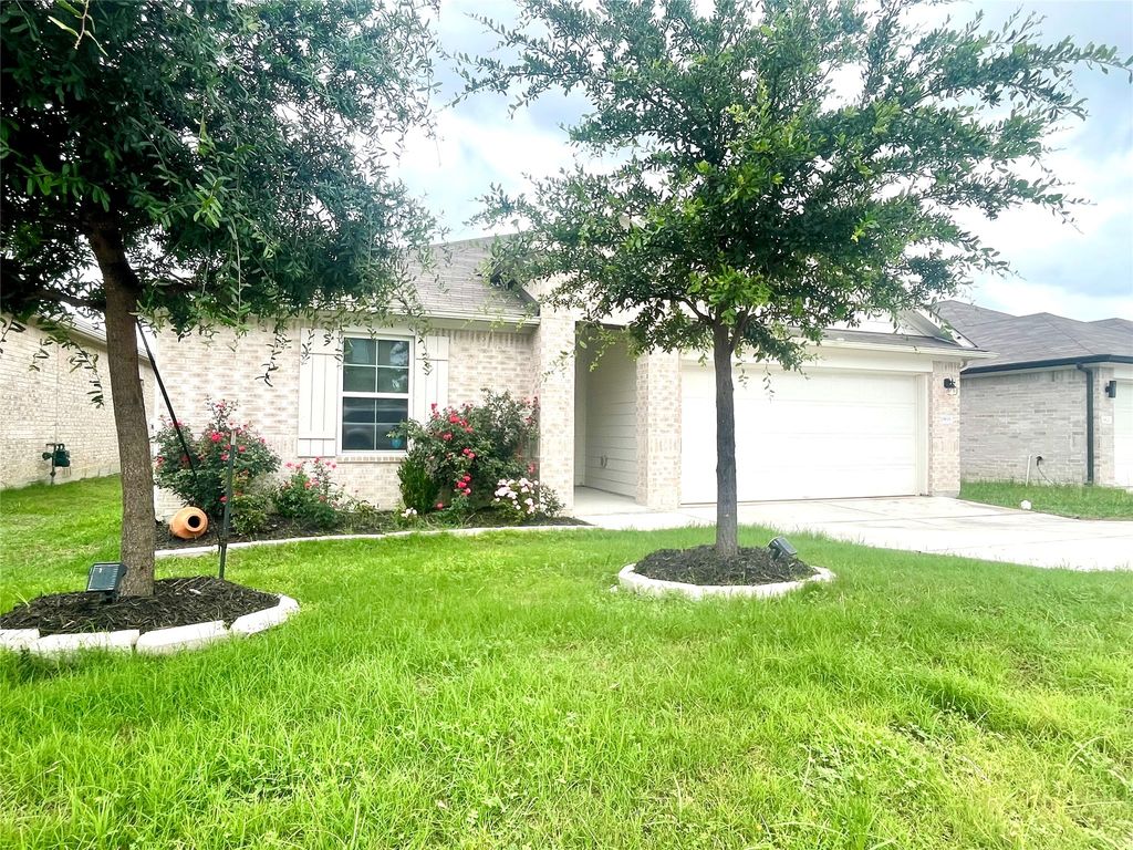 19616 Ann Richards Avenue, Manor