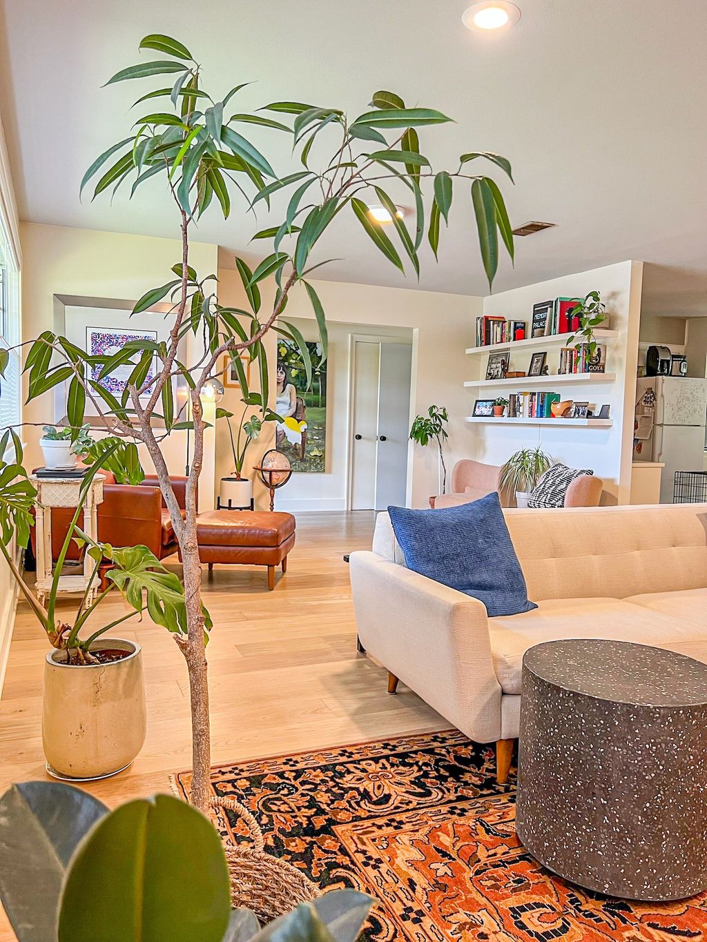 205 W Covington Drive, Austin