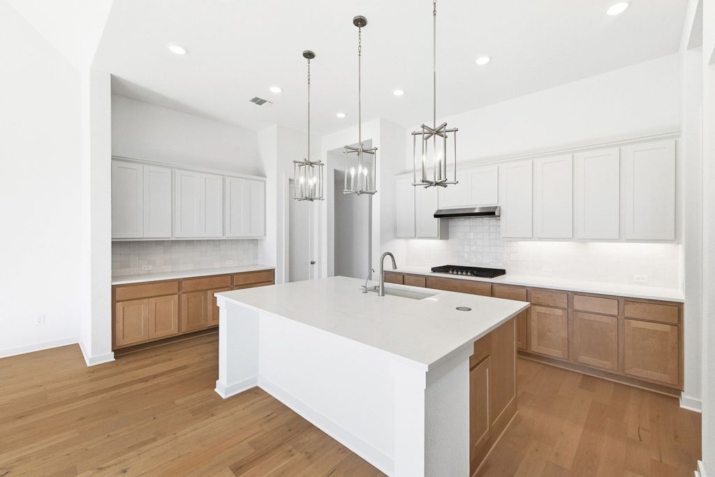122 Stock Pond Trail, Kyle