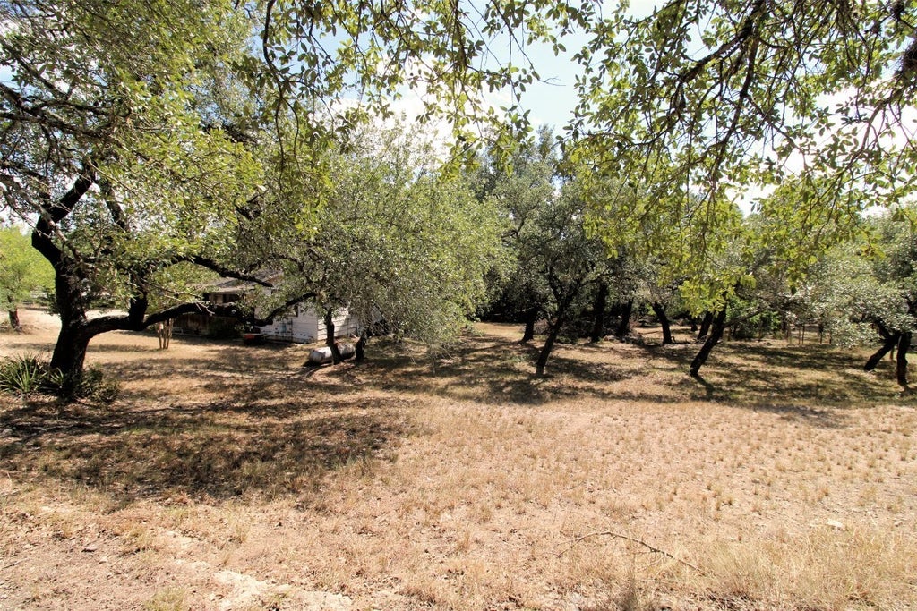 17201 Oak Cliff Circle, Dripping Springs