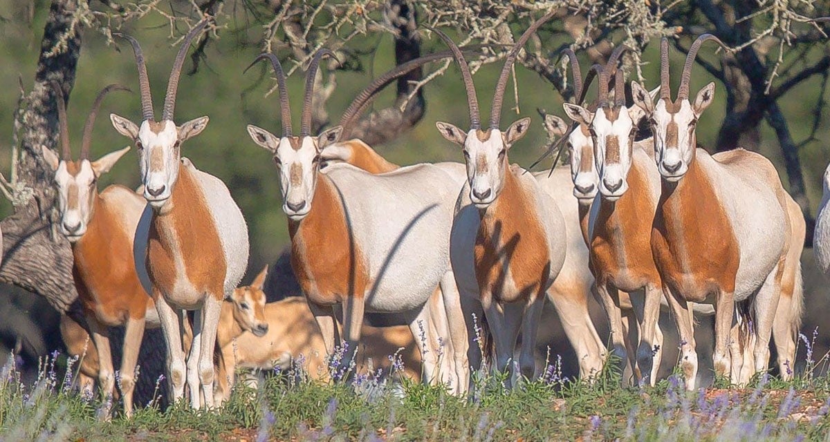 Photo of Listing #1773638