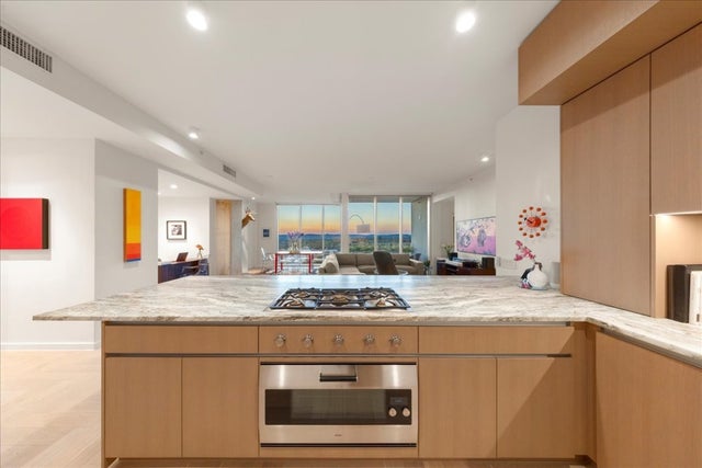 313 W 17th Street 1104, Austin