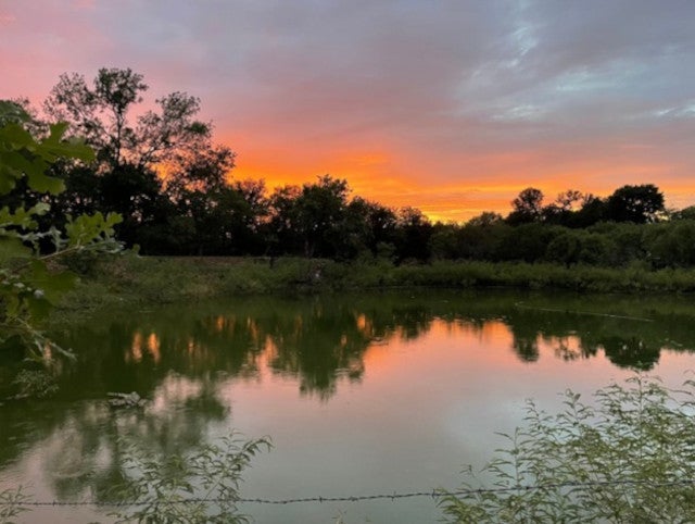 5571 Fm 535, Cedar Creek