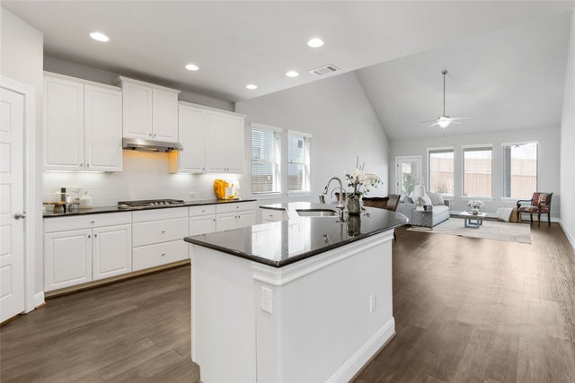 15804 Cinca Terra Drive, Austin