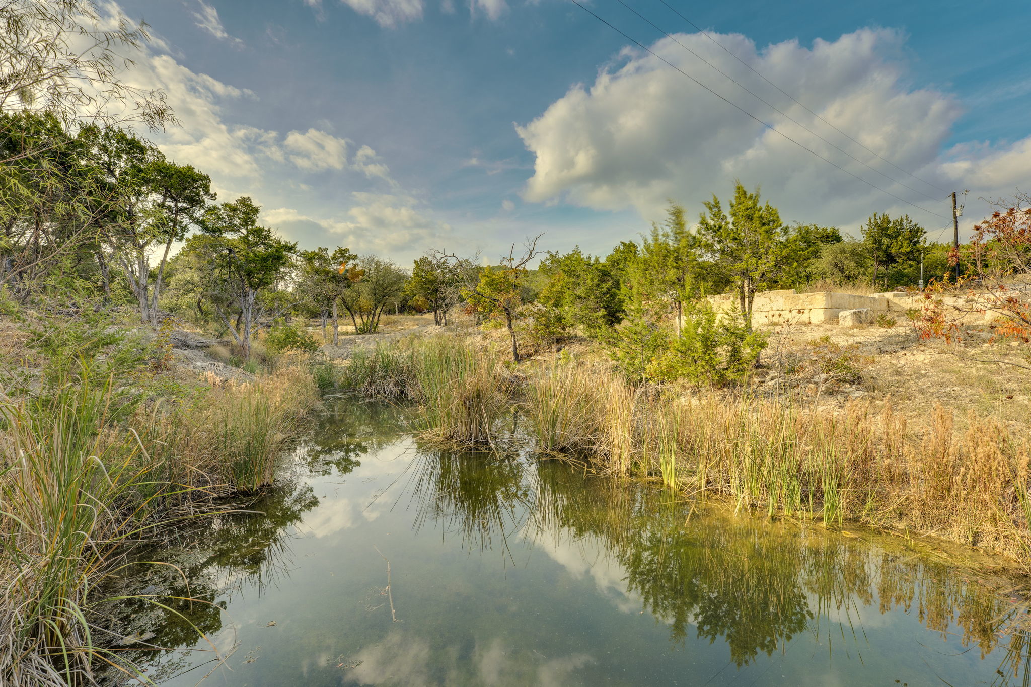 Photo of Listing #4754849