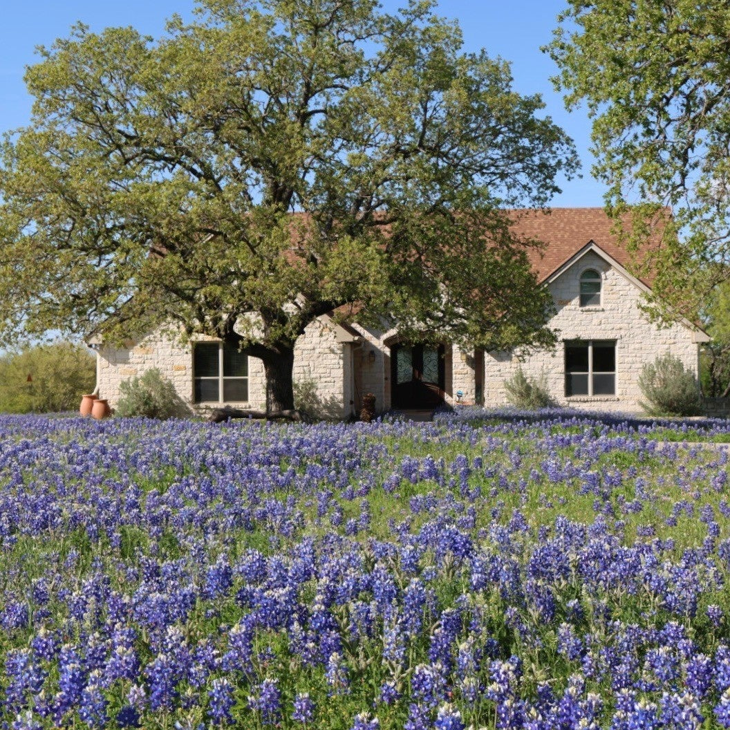 Photo of Listing #2818942