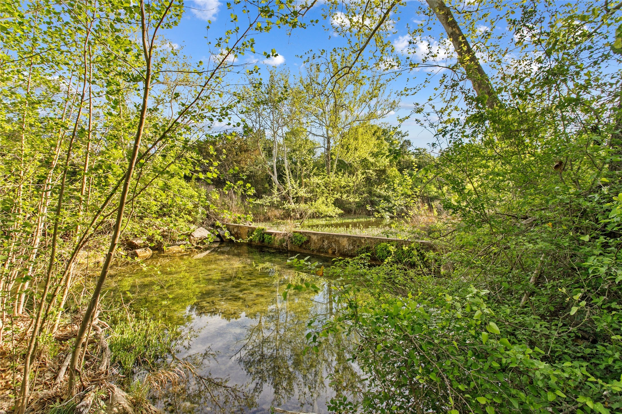 Photo of Listing #1985190