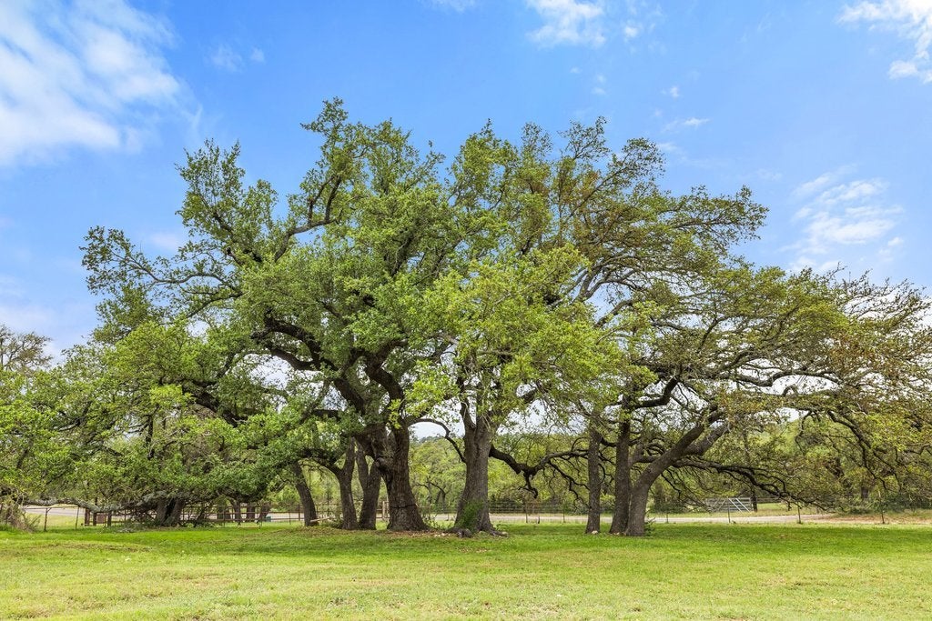 Photo of Listing #9006058