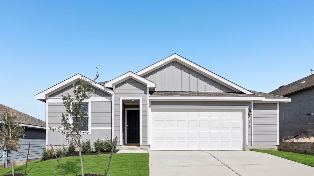 311 Palestine Trail, Kyle