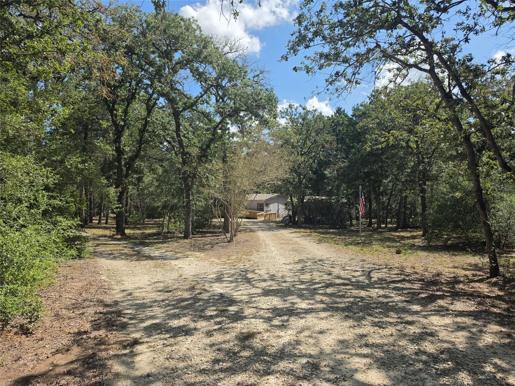 319 Green Oaks Drive, Bastrop