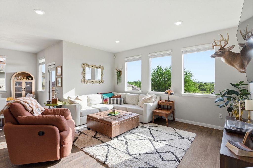 220 Apache Plum Drive, Kyle