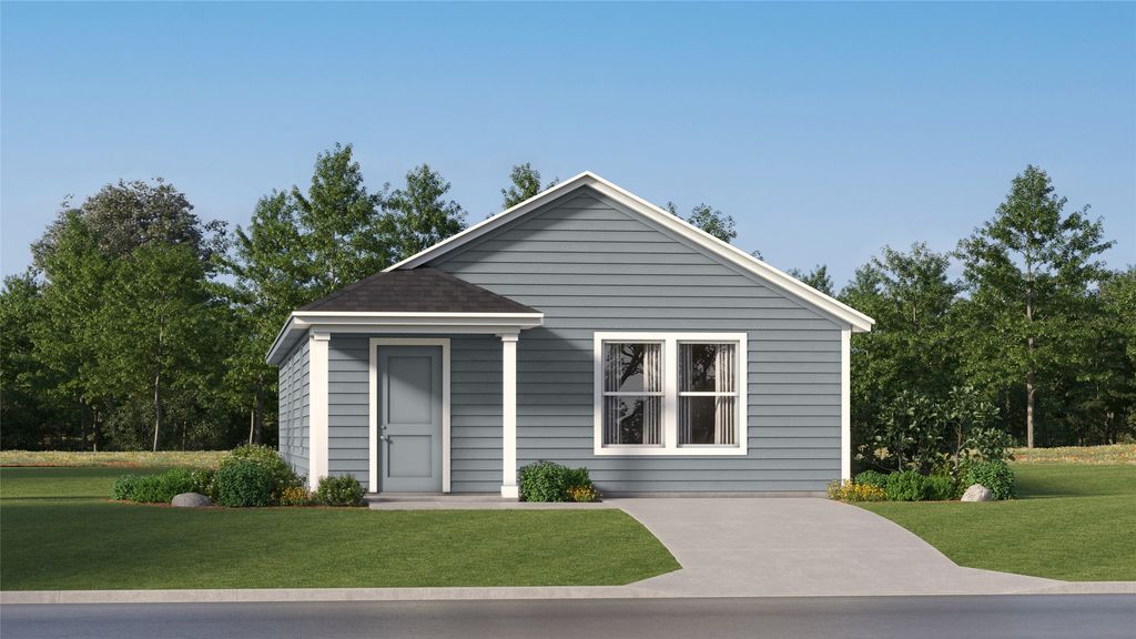 202 Streaking Star Drive, Hutto