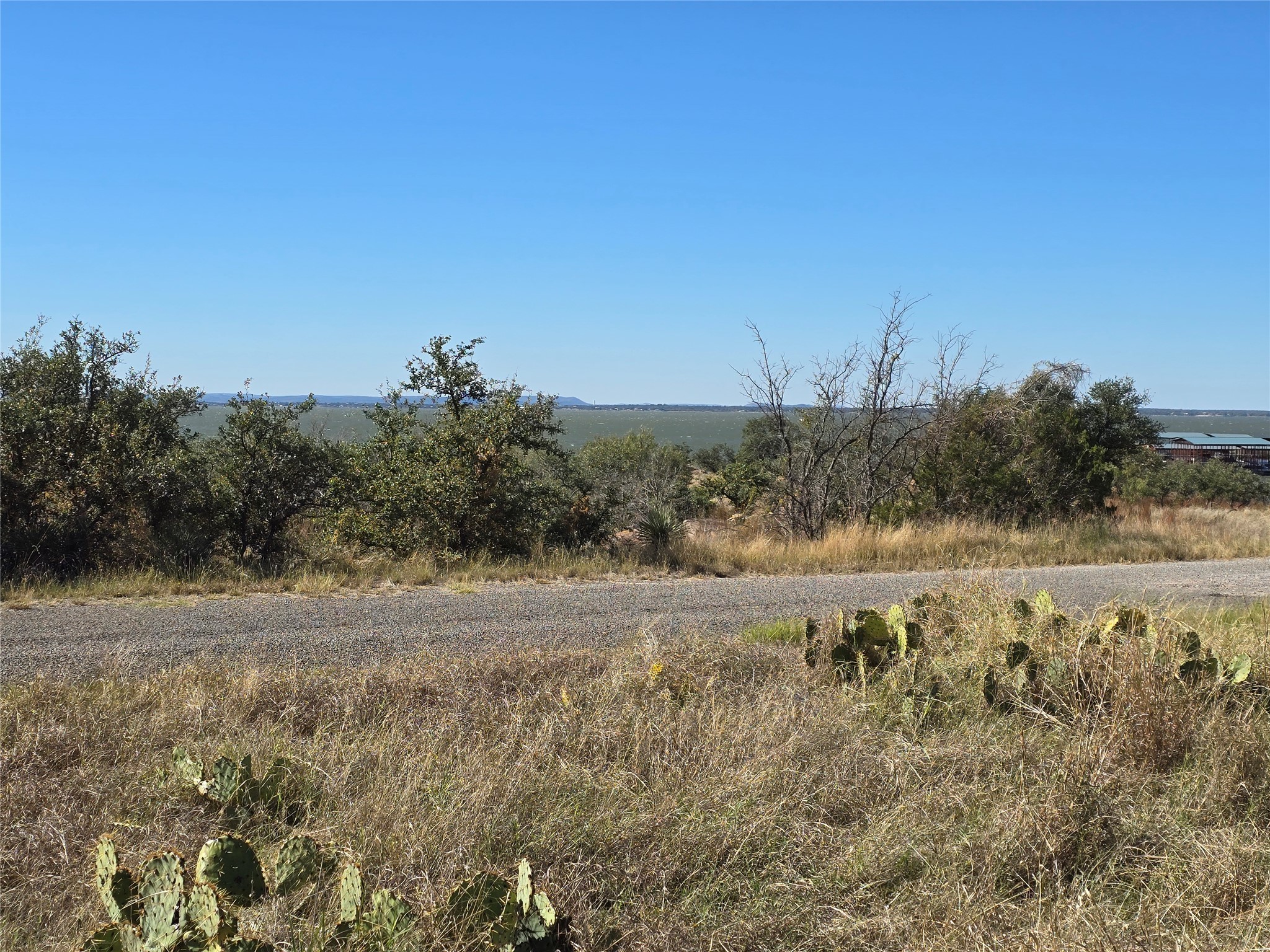 Photo of Listing #7009458