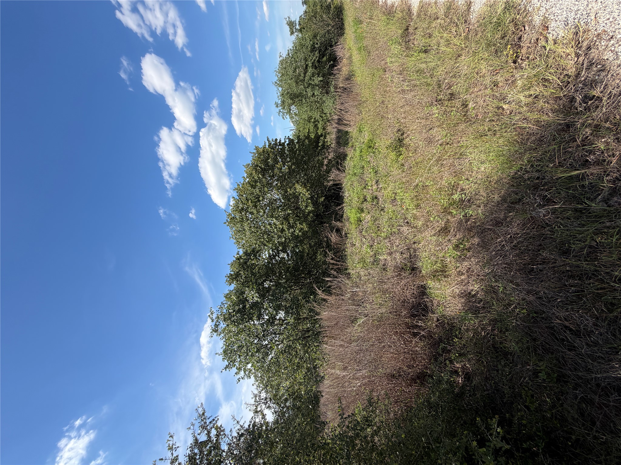 Photo of Listing #2024968