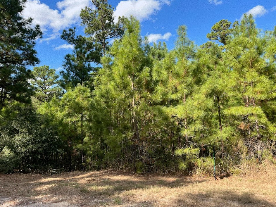 Photo of Listing #9207578
