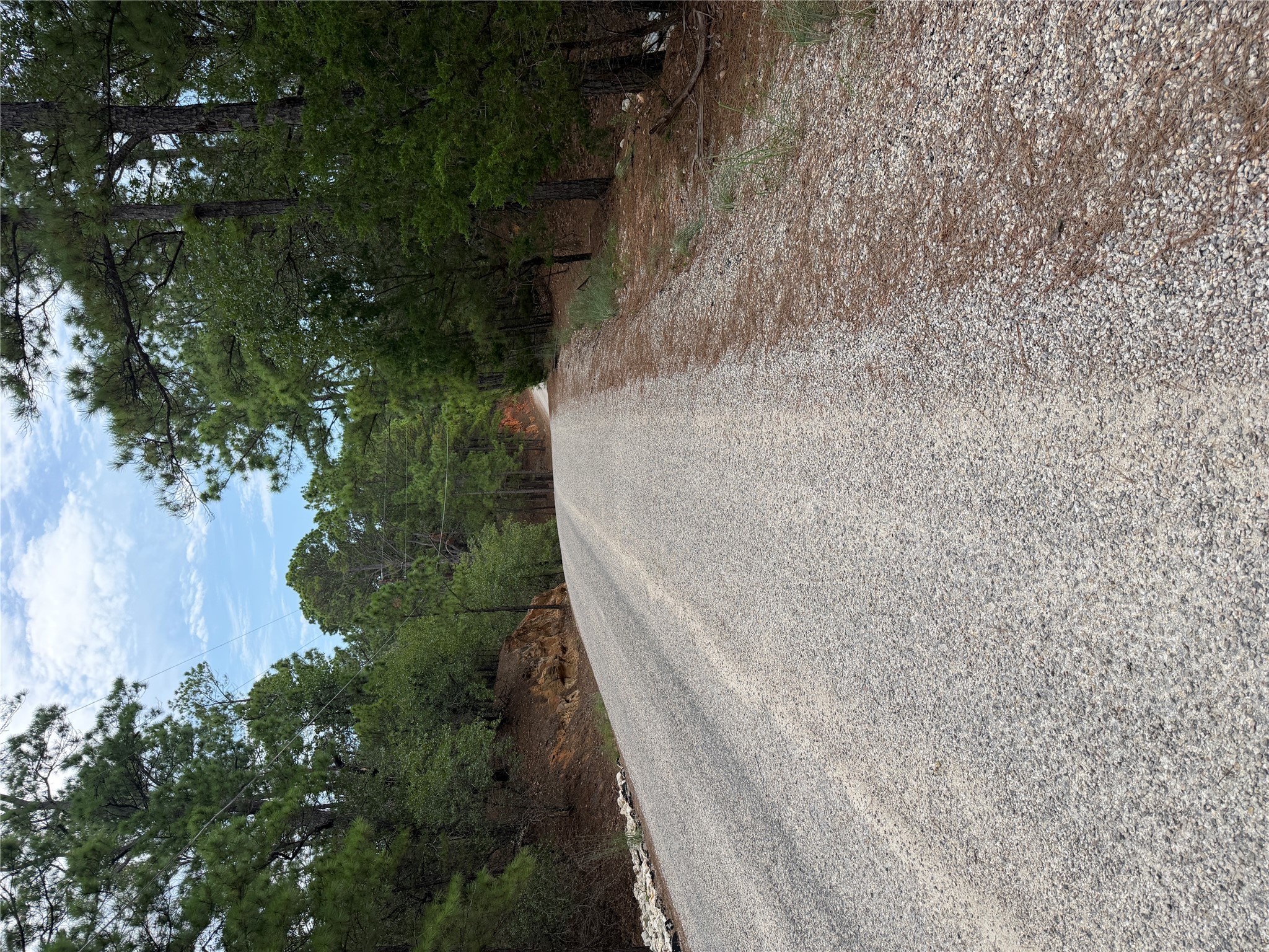 Photo of Listing #9778084