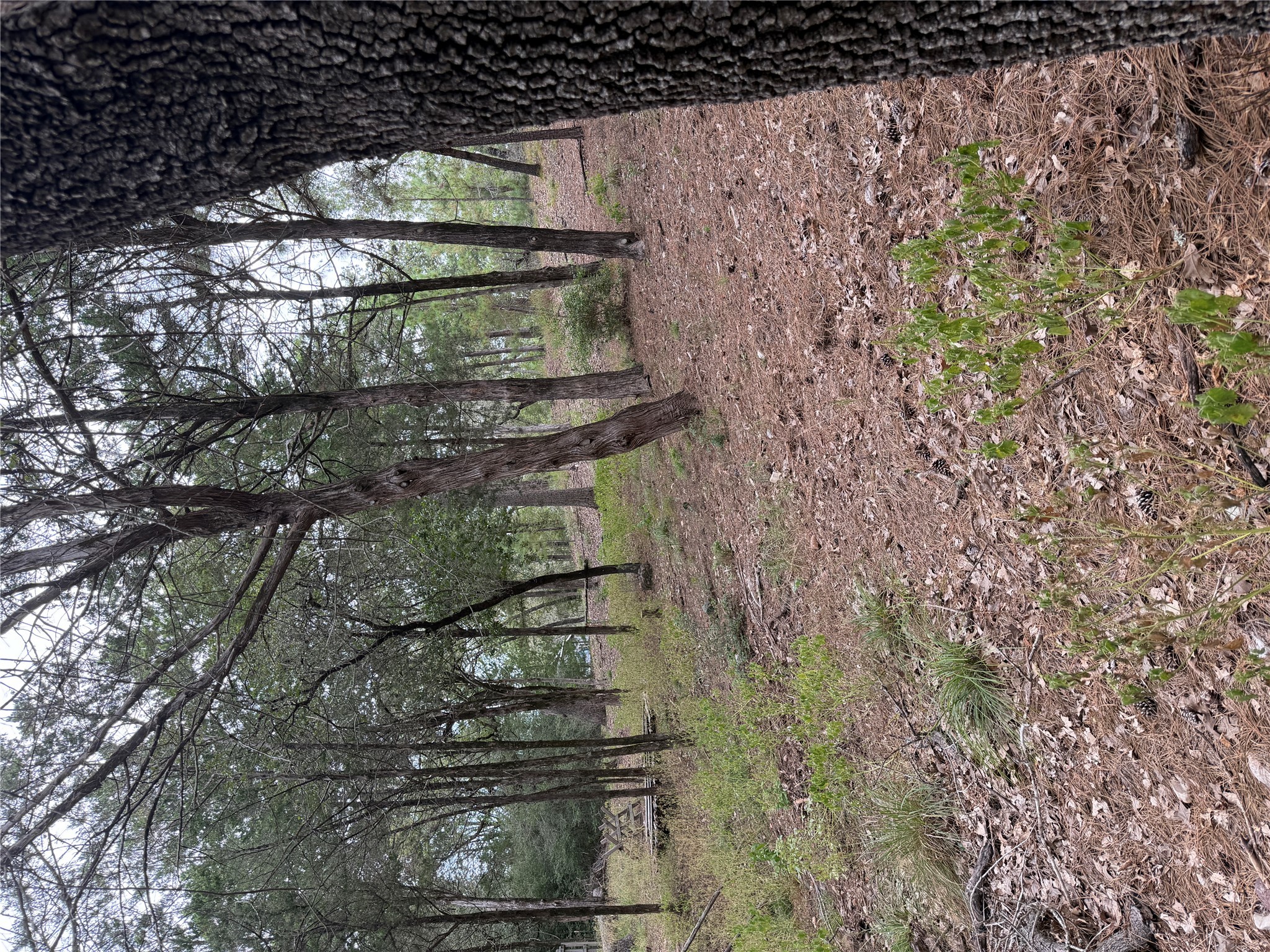 Photo of Listing #9057228