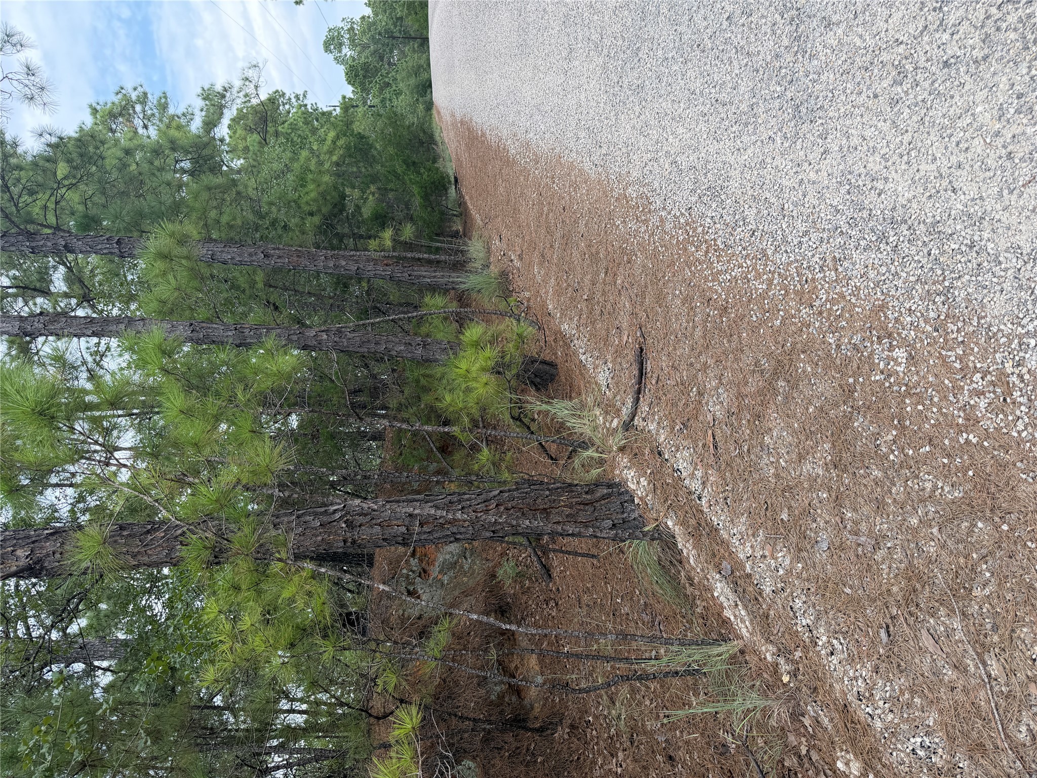 Photo of Listing #5820604