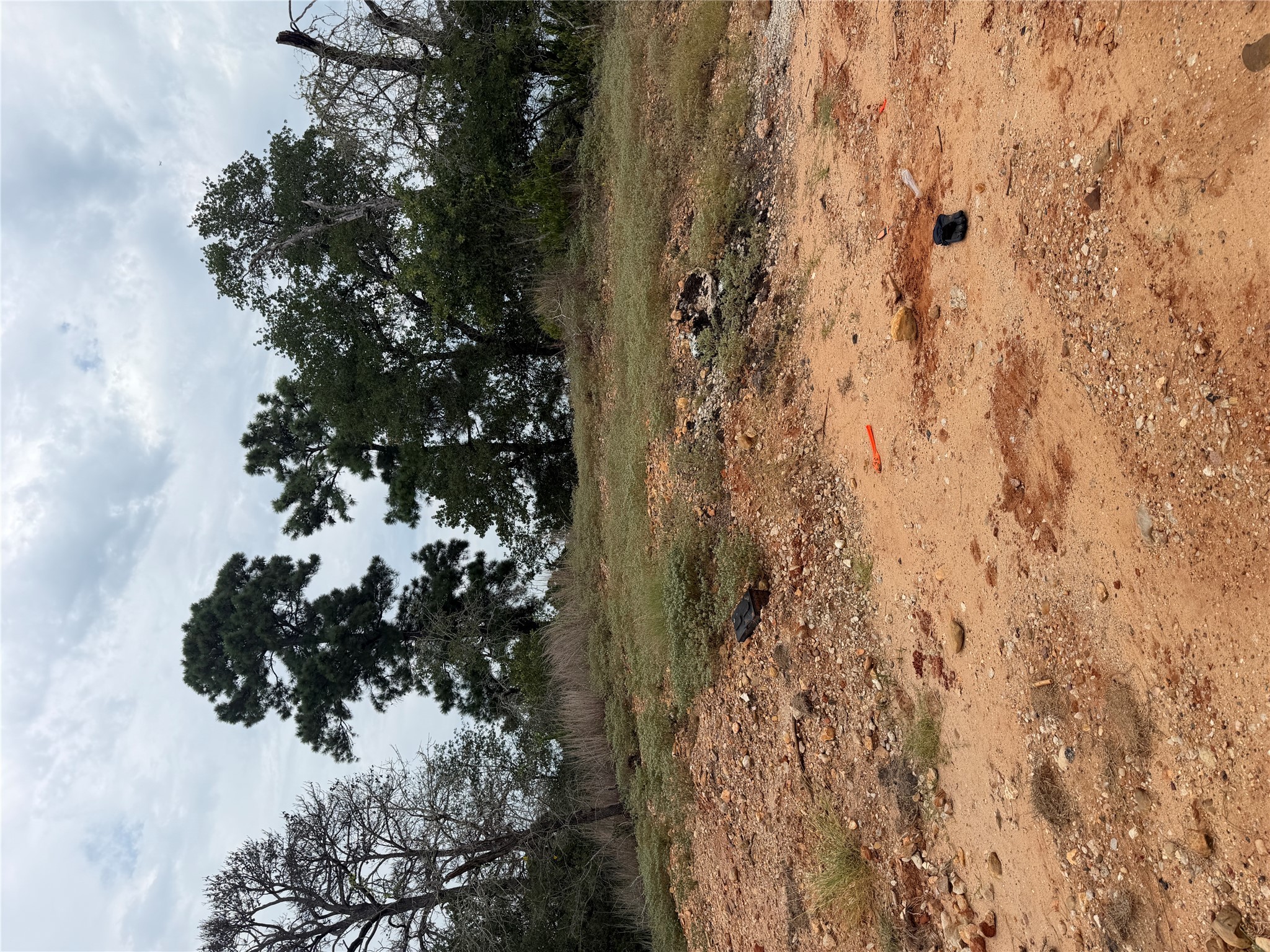 Photo of Listing #9416386
