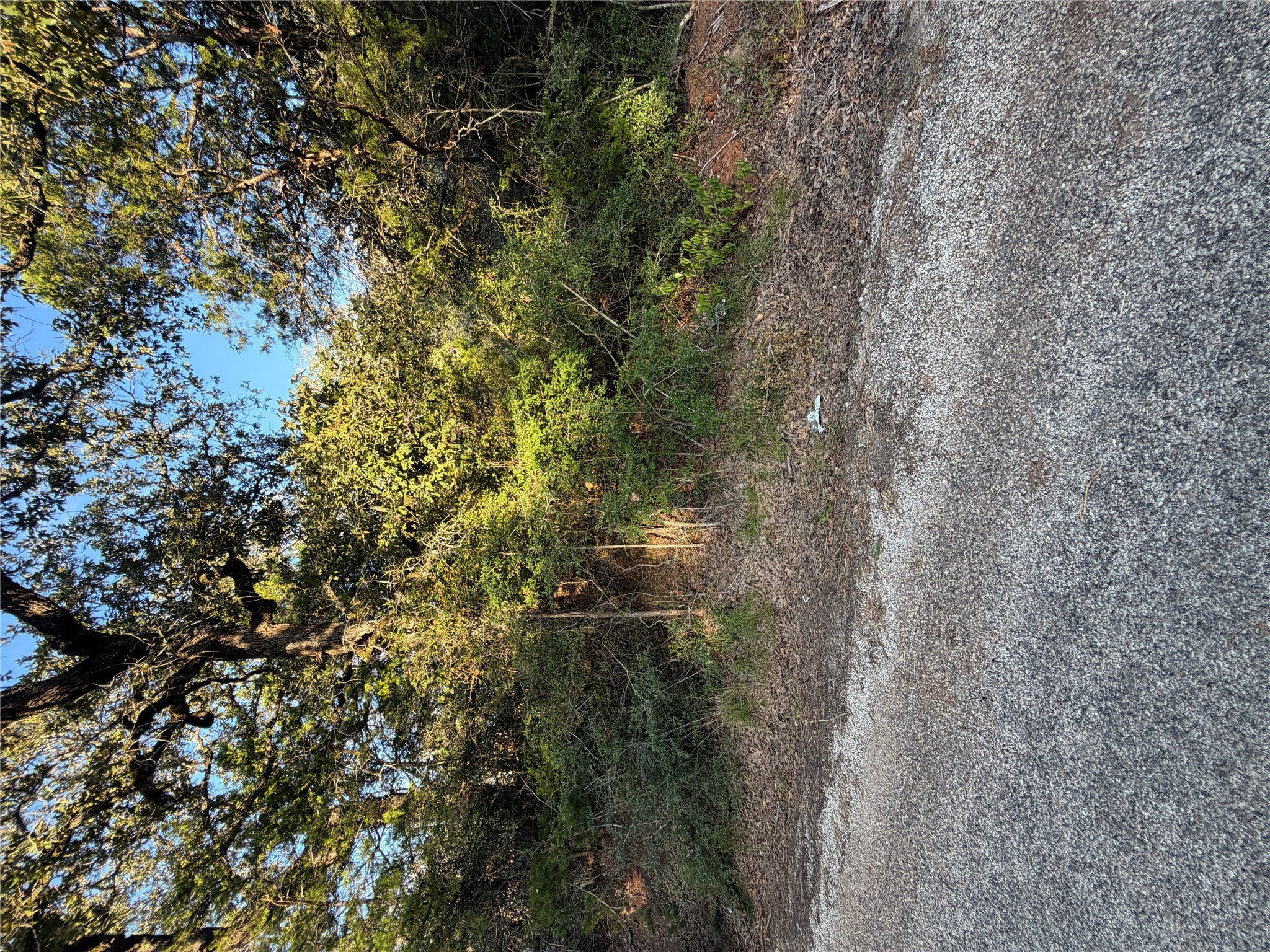 Photo of Listing #2373019