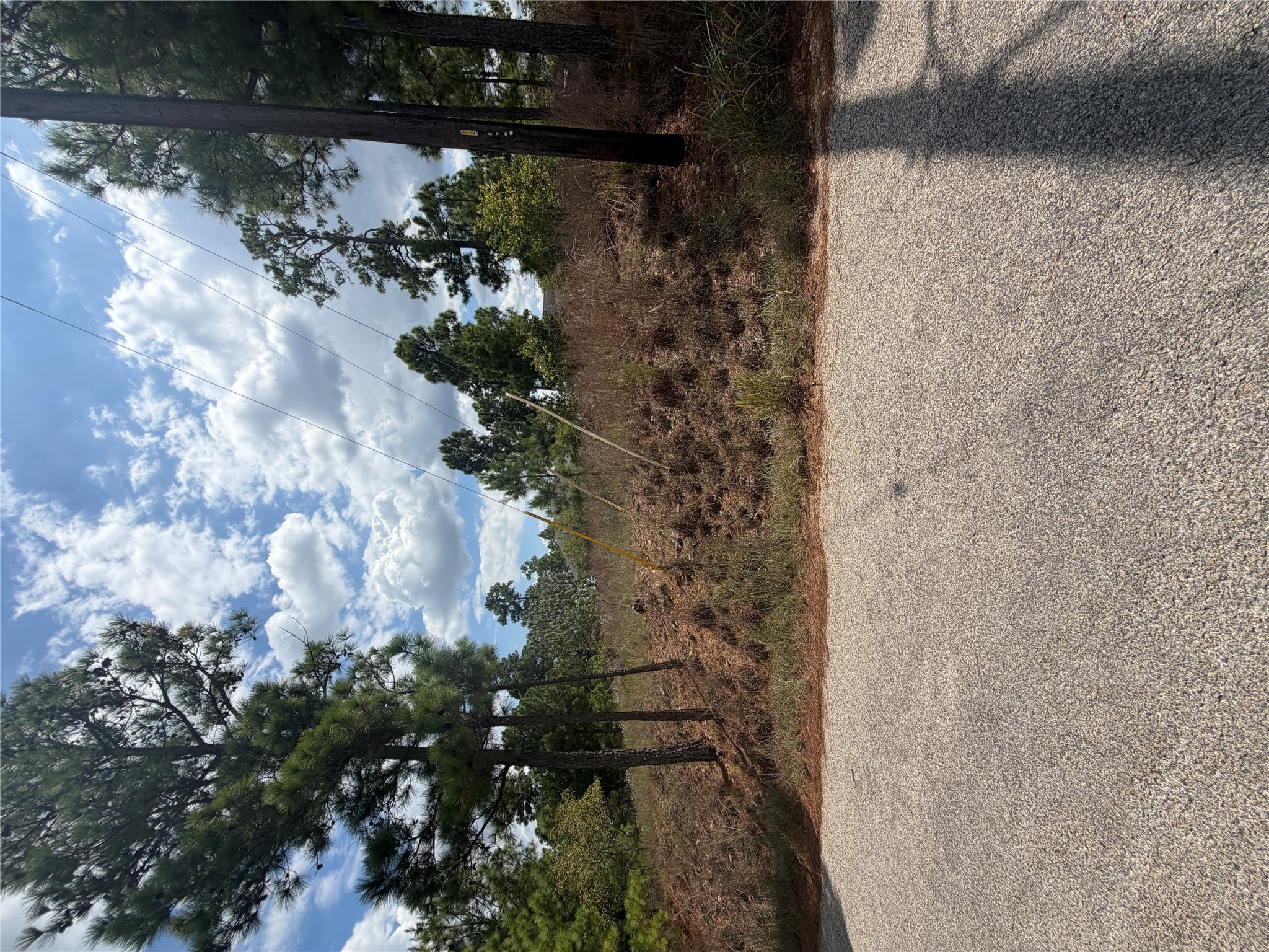 Photo of Listing #7751181