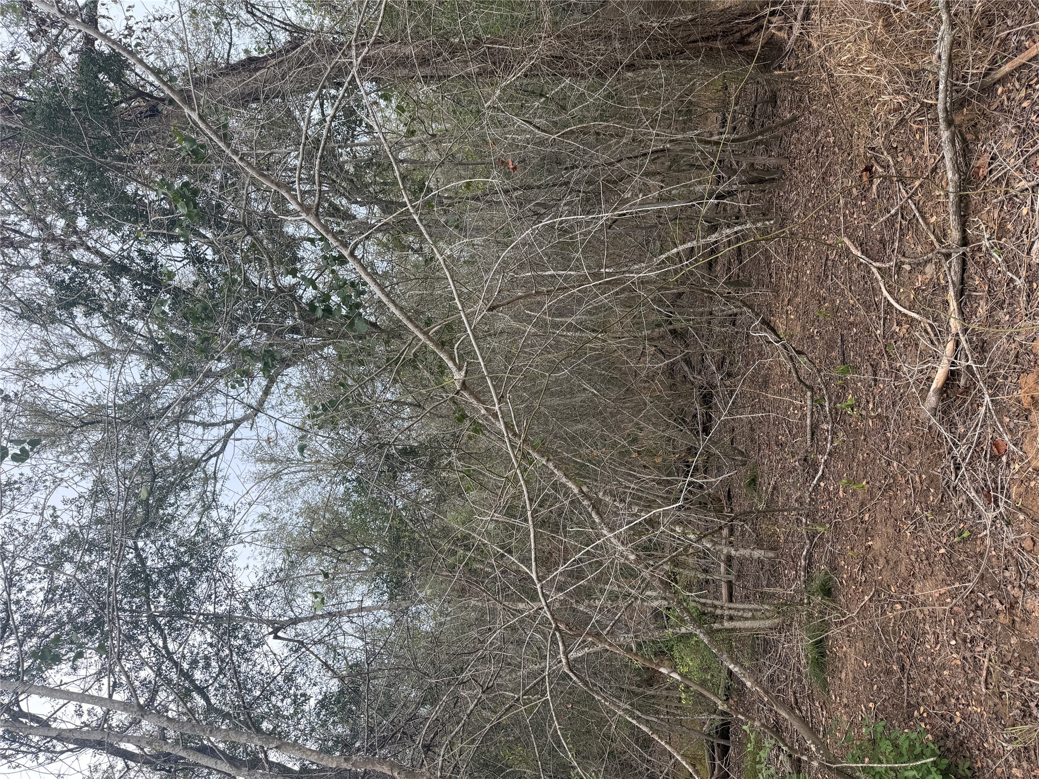 Photo of Listing #6996616