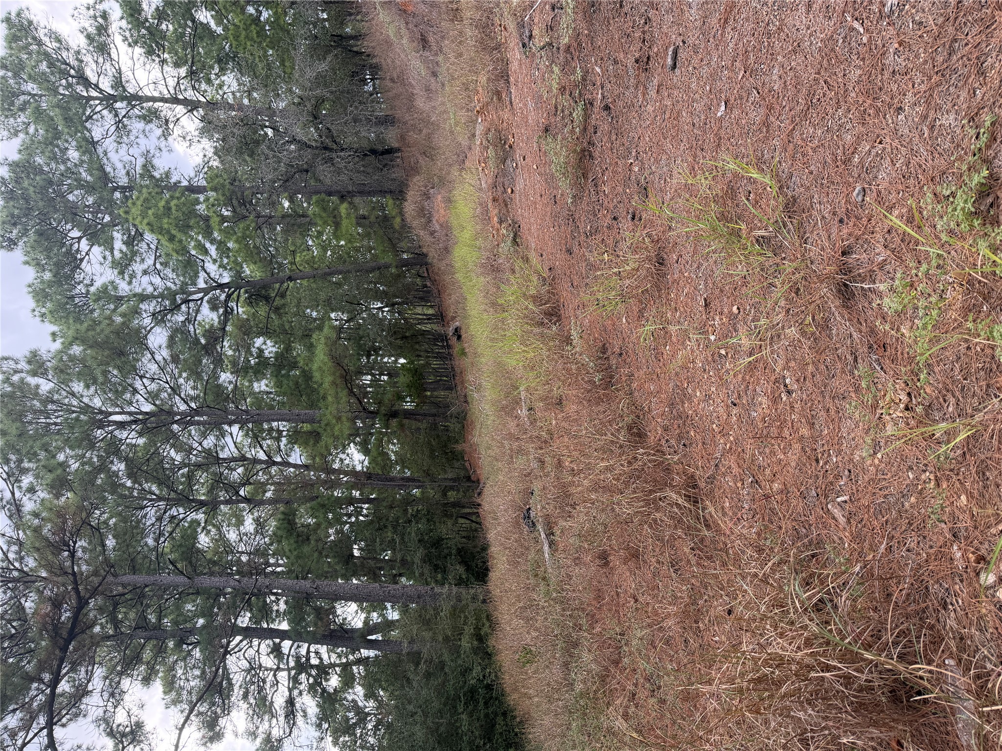 Photo of Listing #9663571