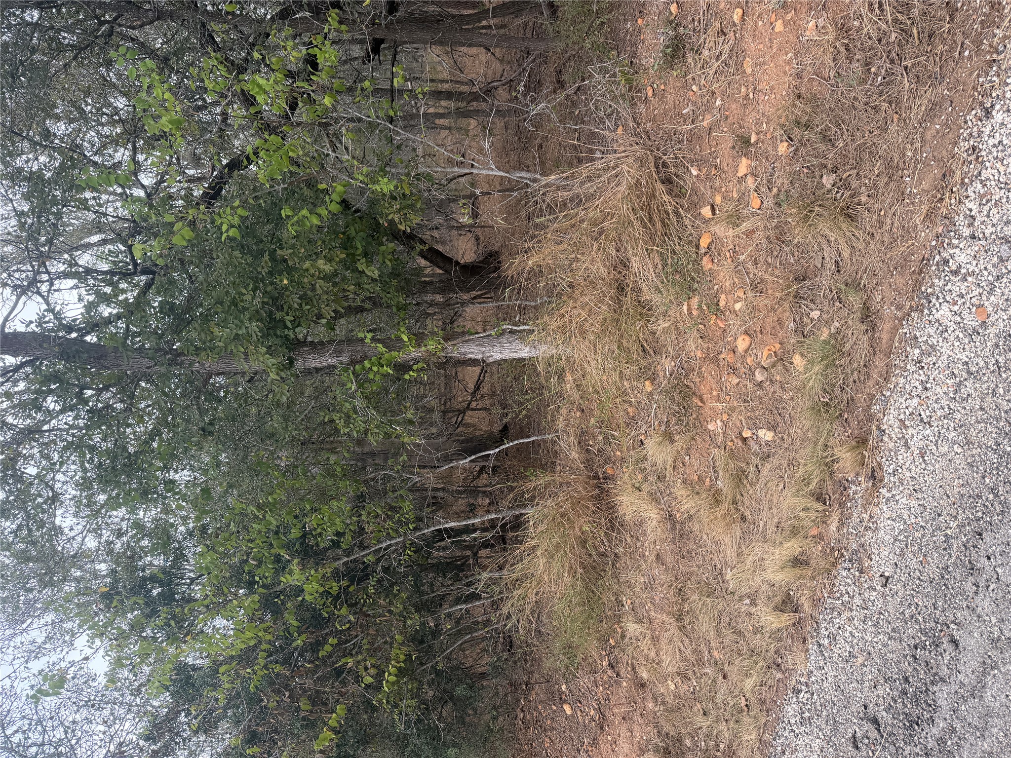 Photo of Listing #8263944