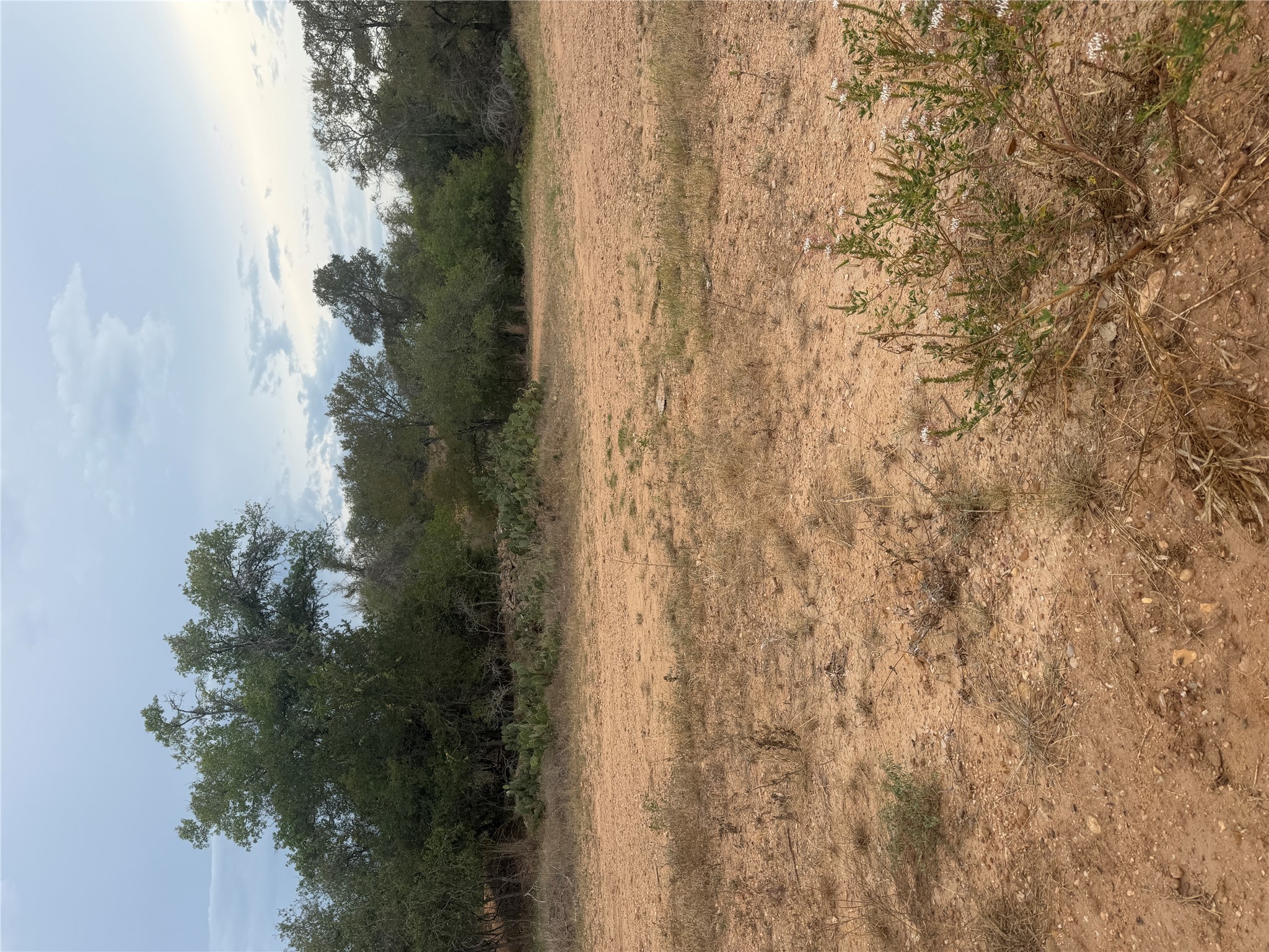 Photo of Listing #6936082