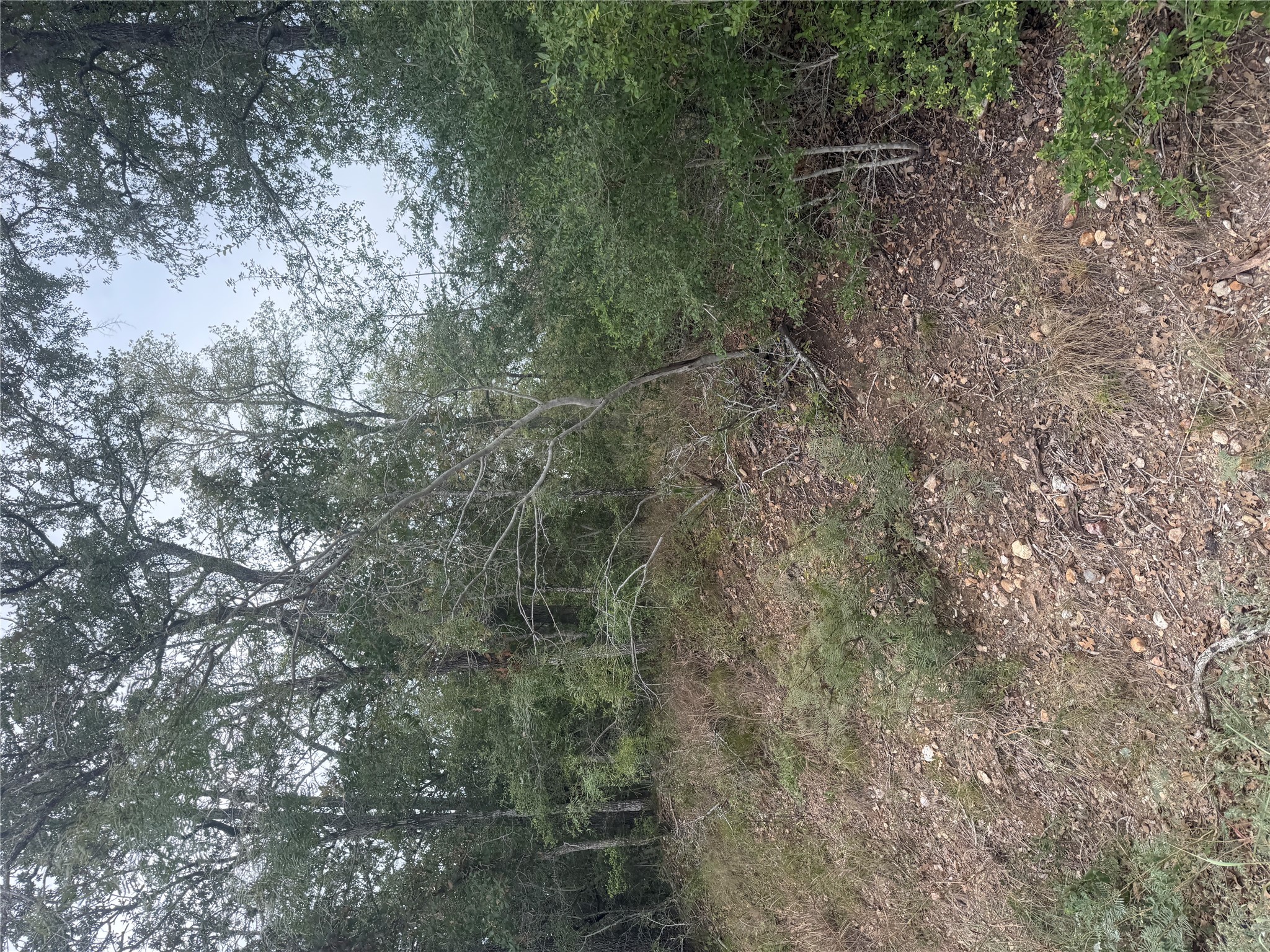 Photo of Listing #9106258